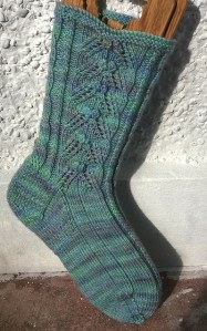 WP_20150830_001_medium2